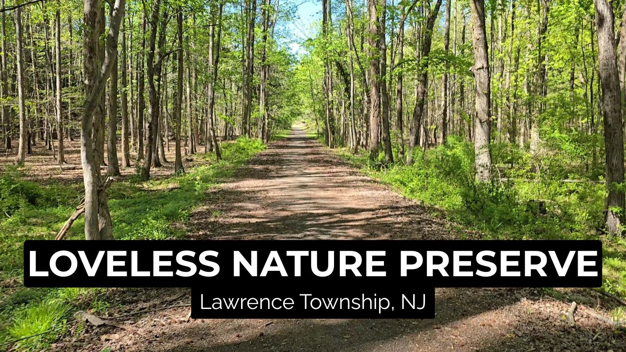 Loveless Nature Preserve